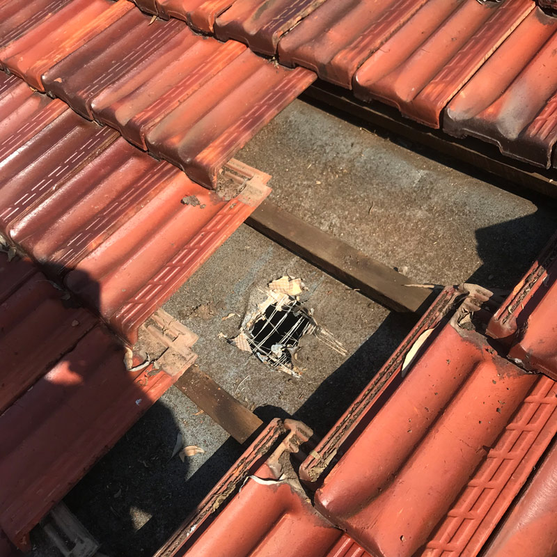 The Importance of Getting Your Roof Repaired ASAP